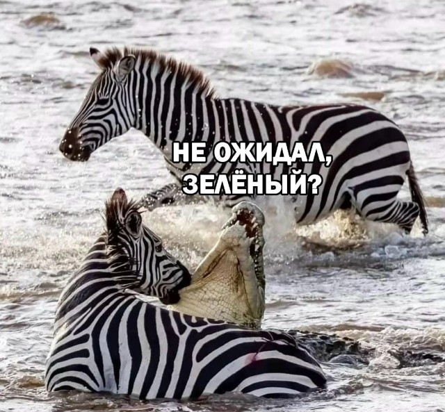 Так себе картинки 19.11.25