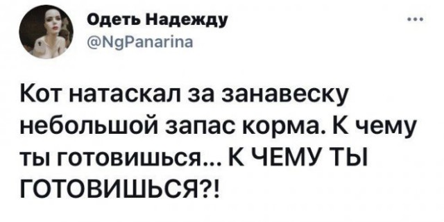 Веселые картинки в понедельник (15.12)