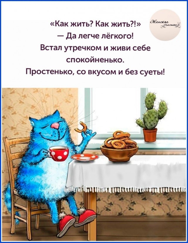 Прикольные и просто красивые картинки 30.12.2025
