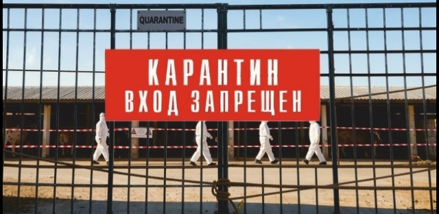 В Зауралье ввели карантин из-за бешенства