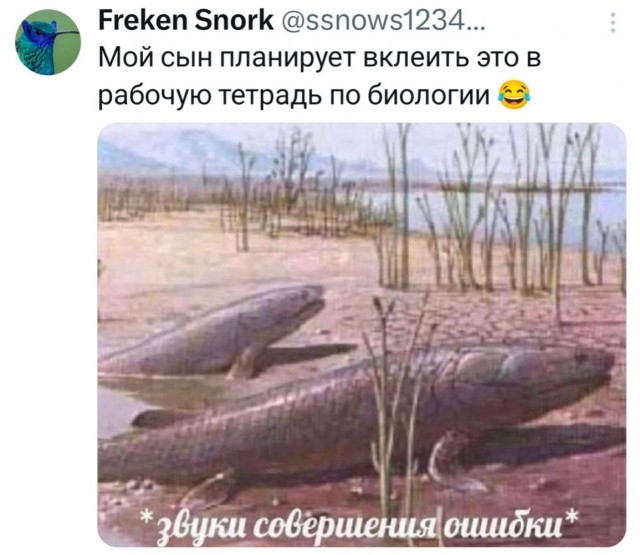 Воскресные картинки