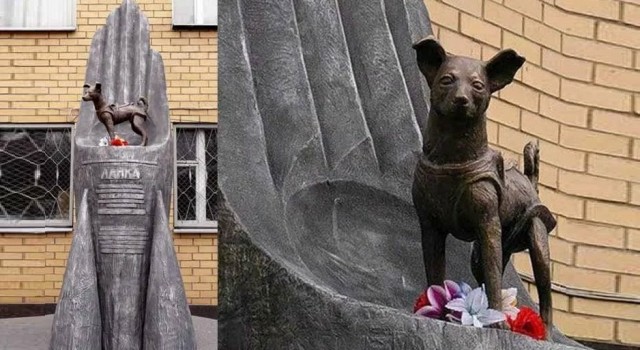Спросили астронома Владимира Сурдина: кто «больший молодец» – Юрий Гагарин или Нил Армстронг?