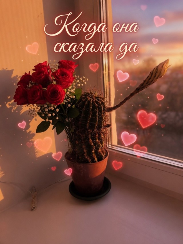 Саня скоро расцветёт