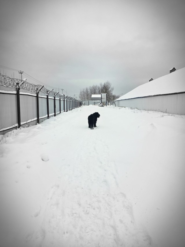 Красивое фото.