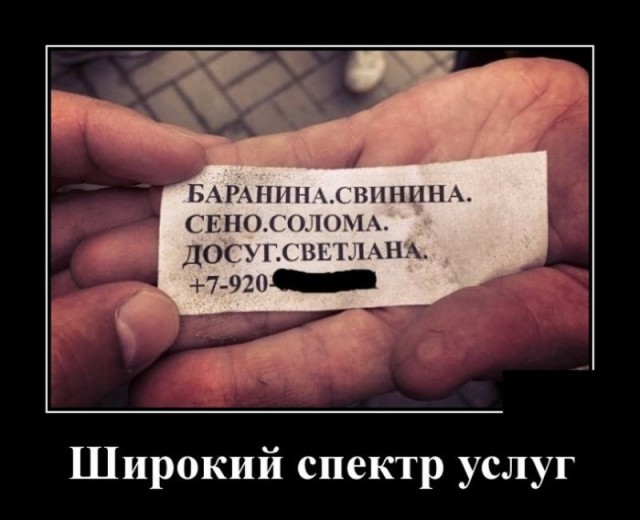 Так себе картинки 11.07.26