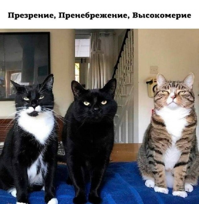 Так себе картинки 18.07.26
