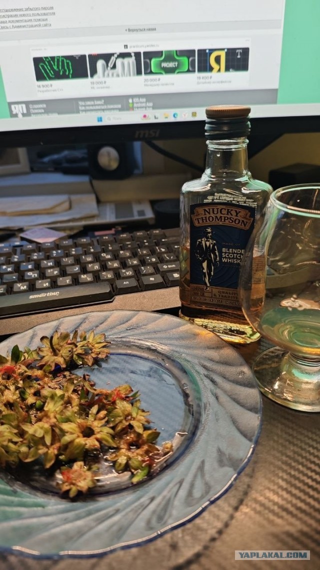 Тема только для алкогруппы. Пять дней!