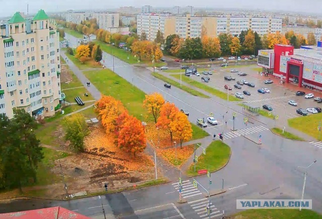 А из нашего окошка осень видна немножко)