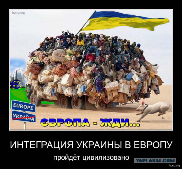 Россия начала ставить заграждения из колючки