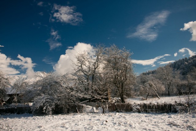 Абхазия, январь 2010