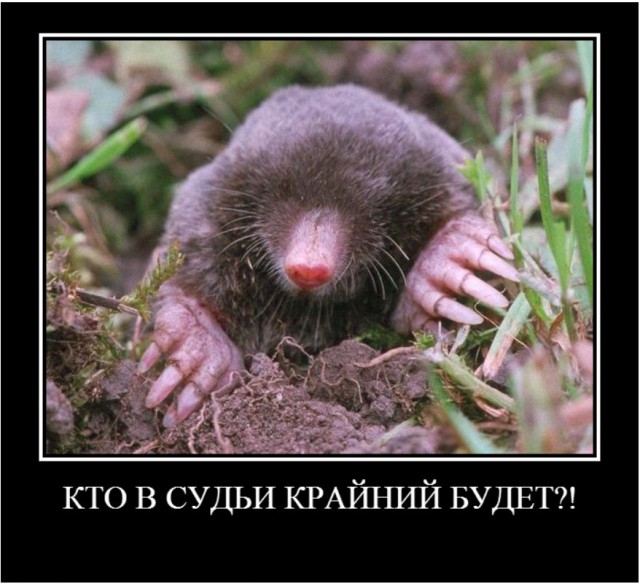 Хоккей! Россия-США