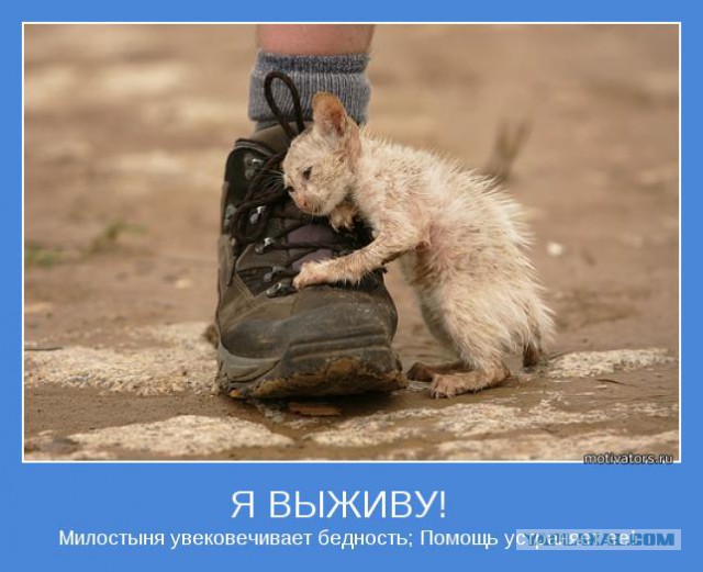 Дерзкие и брутальные