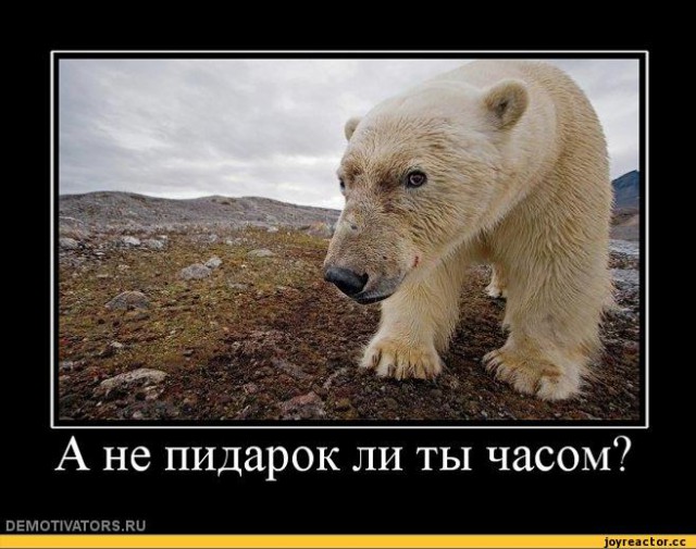 В турецком отеле подрались русские и украинцы