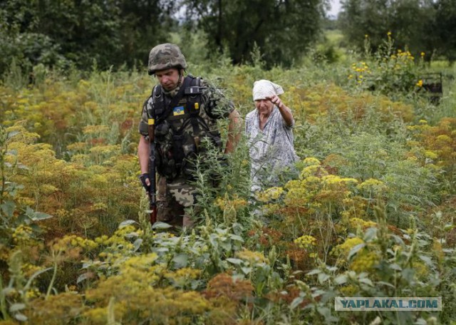Полиция ДНР