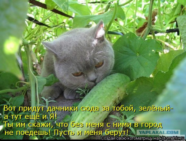 Чёрт, чёрт, чёрт!