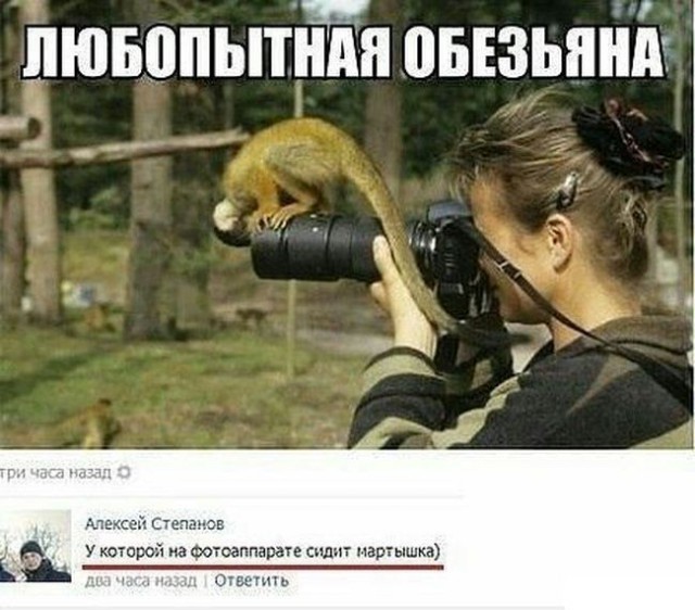 Смешные комментарии из социальных сетей