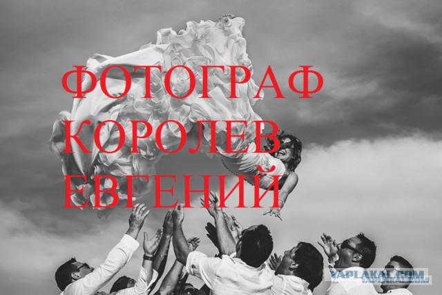 Лучшие свадебные фотографии