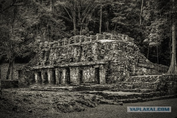 Mexica, там где люди становятся богами