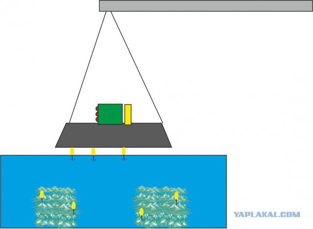 Первый раз в жизни поймал Щуку