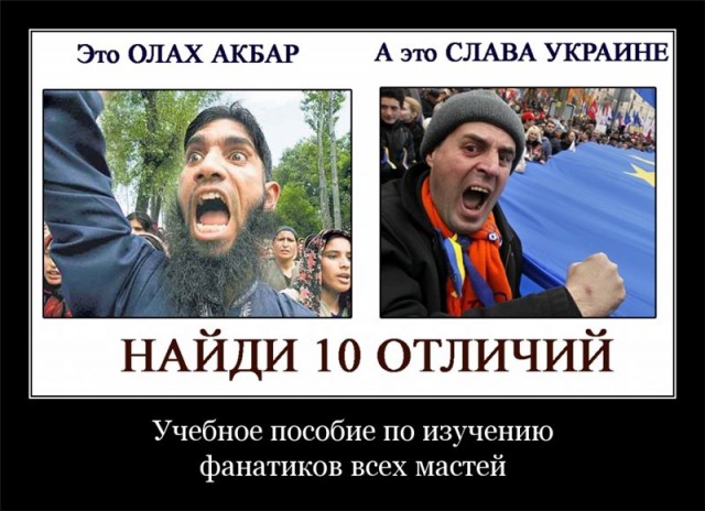 Украинское издание рассказало, насколько лучше