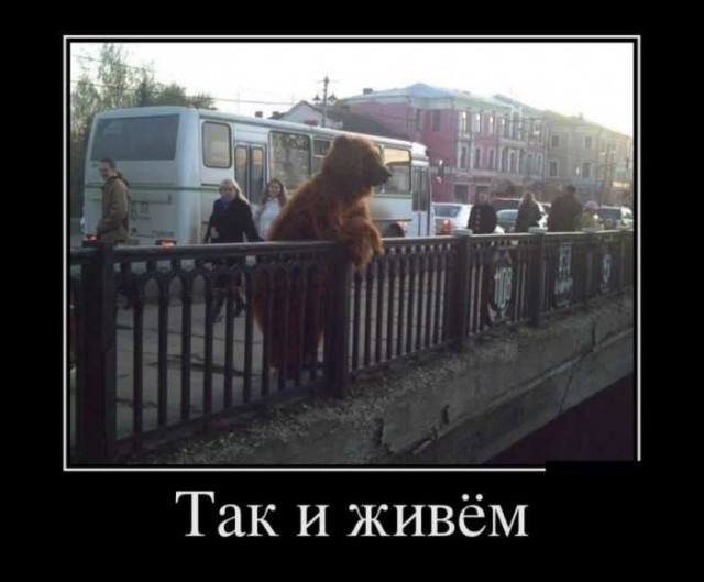 А знаете ли вы ?