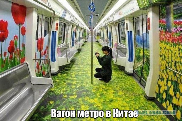 Подборка смешных и забавных фото