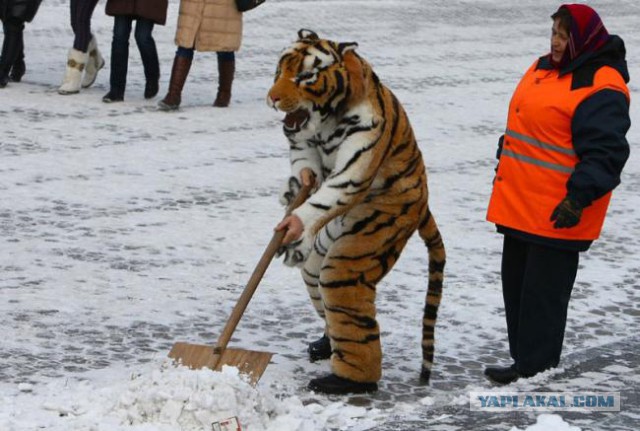 Где то в России