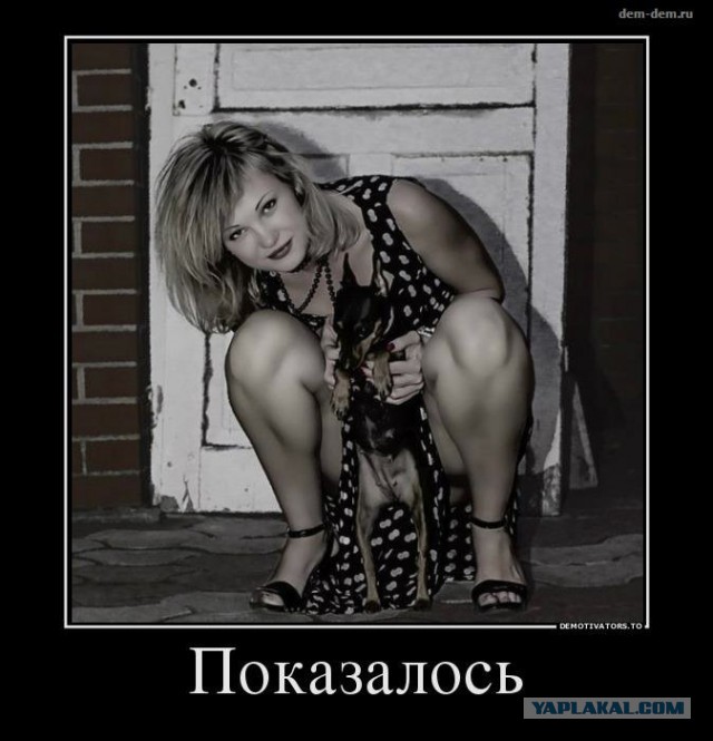 Я художник, я так вижу