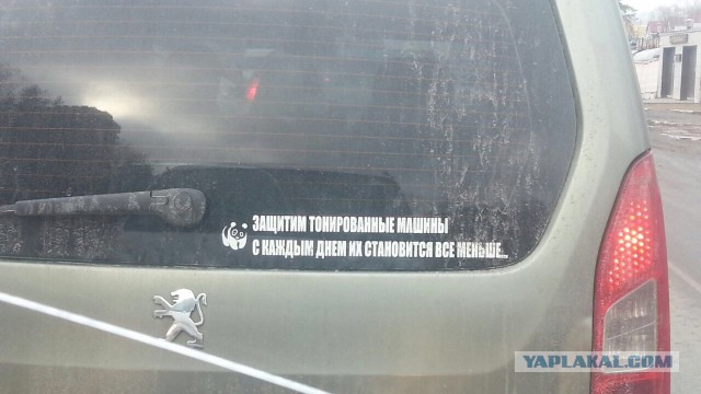 Что обычно водители пишут на своих автомобилях?