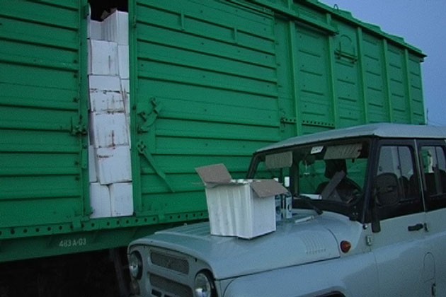 Клиентоориентированность