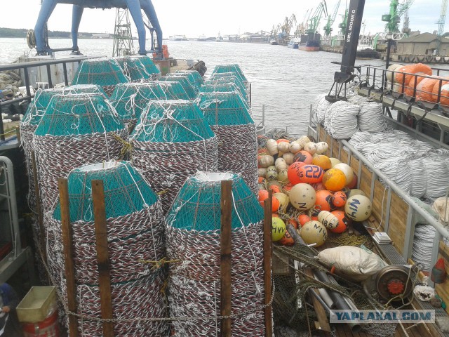 Пахари моря