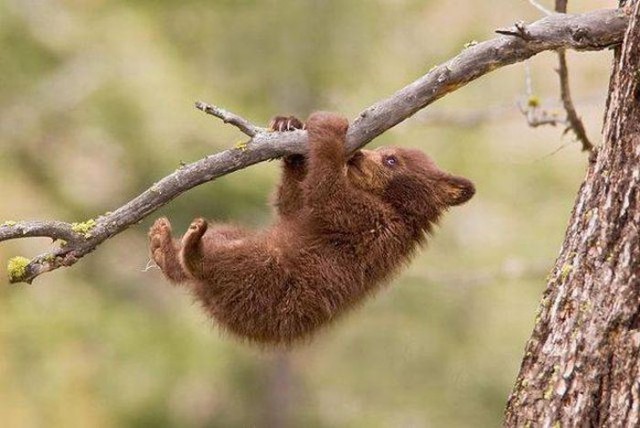 Интересные и веселые картинки