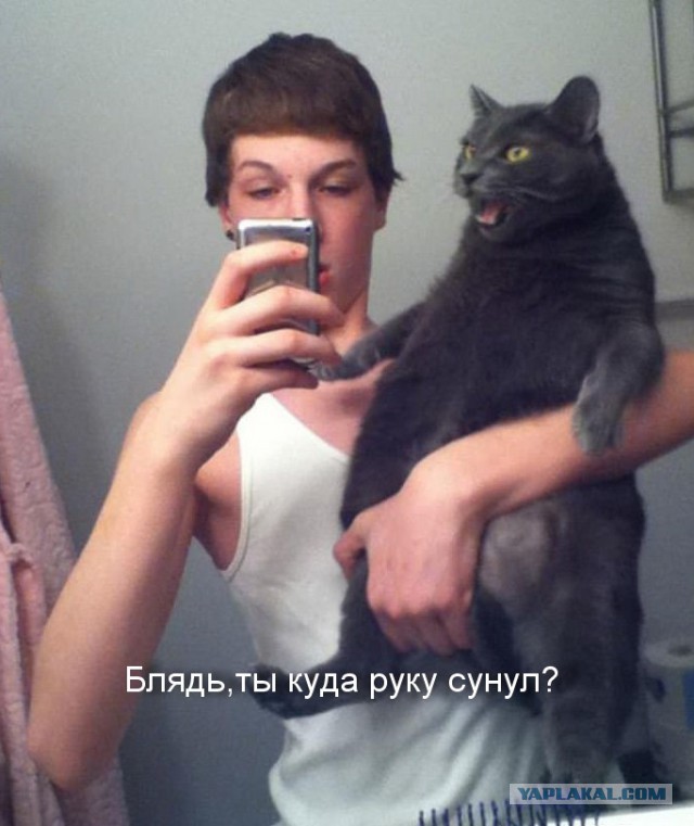 Ужасы и приколы из соцсетей 18+