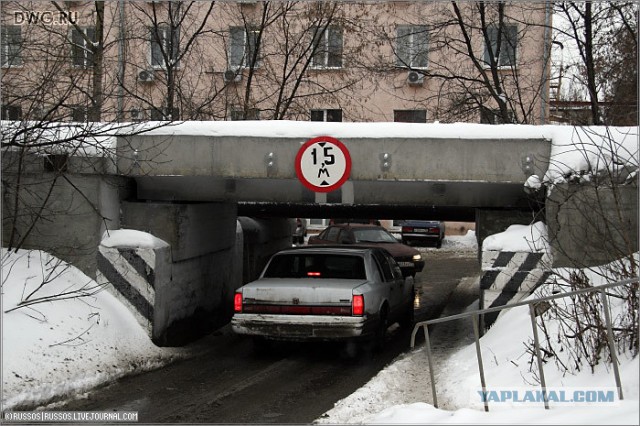 А что? А вдруг!