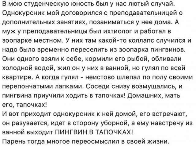 Смешные комментарии из социальных сетей 13.04.2018