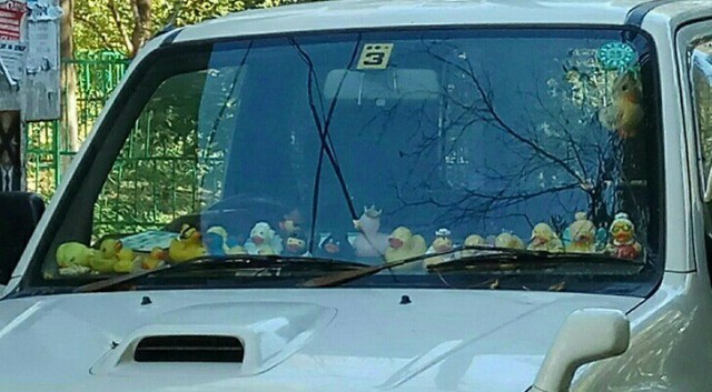 Картинки по-приколу