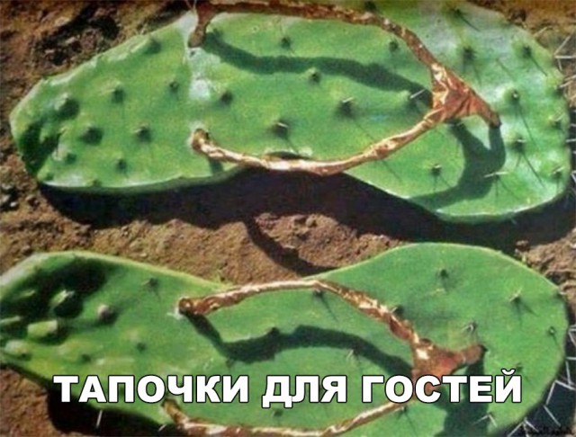 Нестандартный юмор