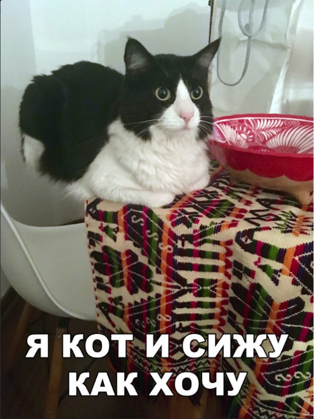 Немного милоты