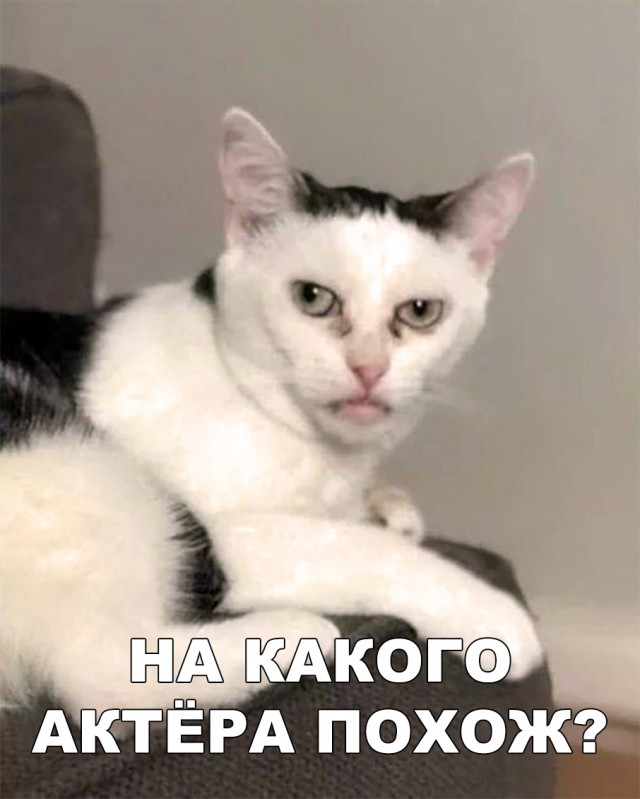 Немного милоты