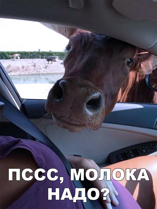 Нестандартный юмор