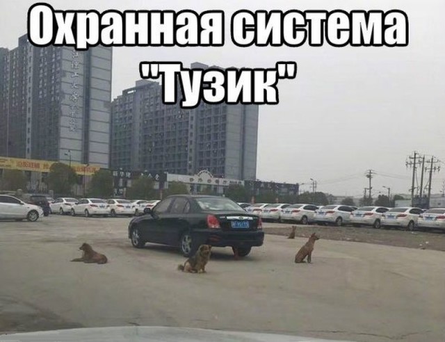 Выловлено в наших сетях