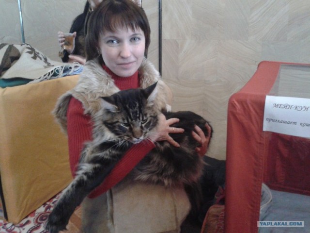 Котовторник 27.03.2012