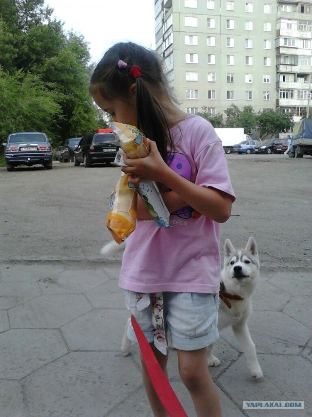 Собакочетверг!