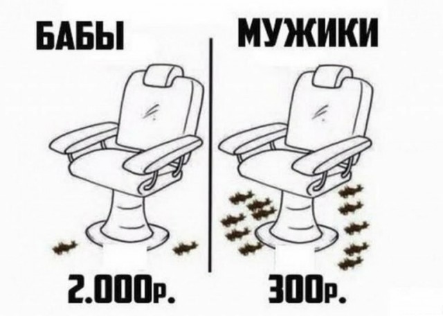 Куда катится жизнь