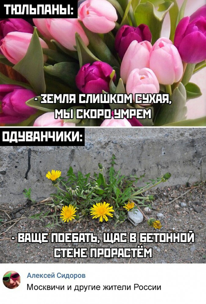 Бредзона