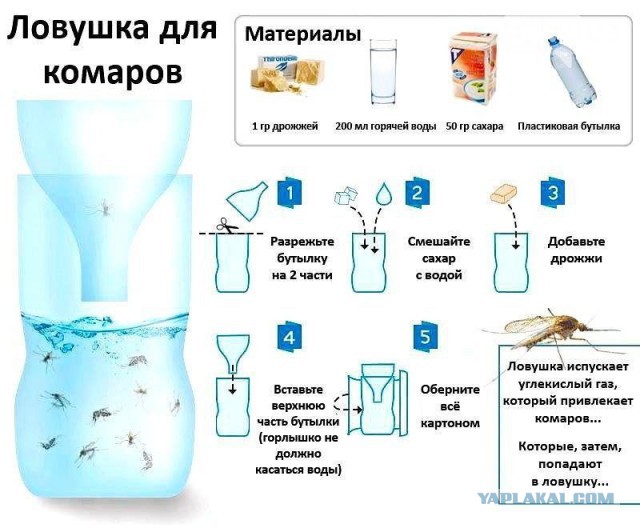 Эффективная и бесплатная ловушка для слепней