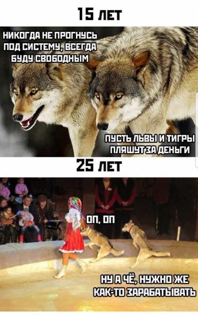 Не очень адекватный юмор