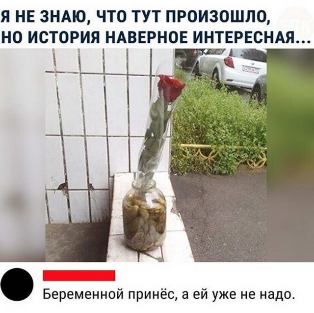 Бредзона из картинок