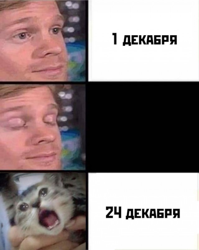 Немного картинок для настроения 24.12.19