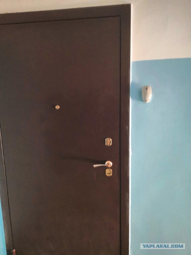 Это уже ни в какие ворота...